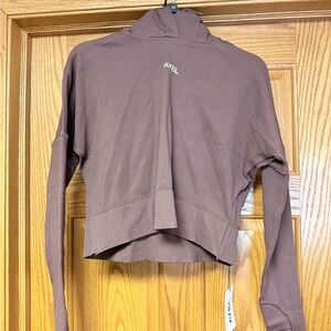 AYBL Cropped Hoodie in Mauve Brown